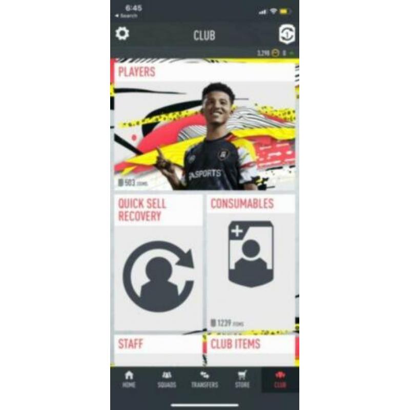 Fifa 20 team