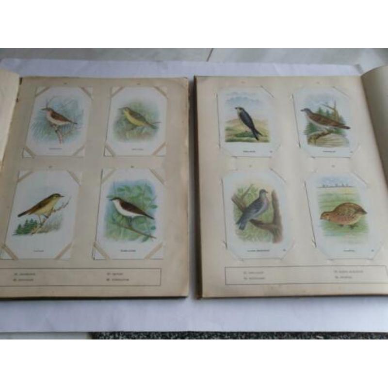 Plaatjesalbum VOGELALBUM deel 1 en 2 van Tiktak Compleet