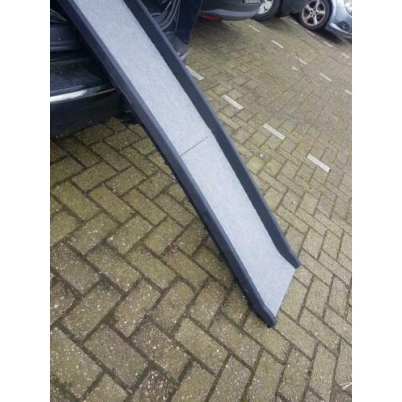 Loopplank voor de auto - hond