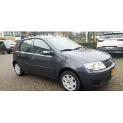Fiat Punto te koop