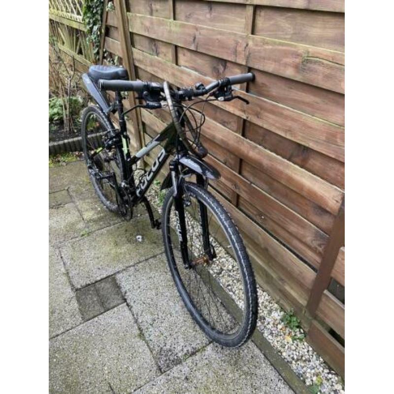 Focus lagoon dames mountainbike