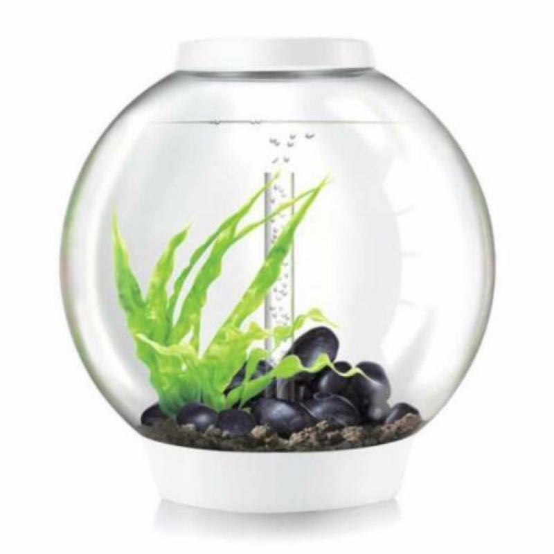 biOrb CLASSIC | 60 LED | Wit