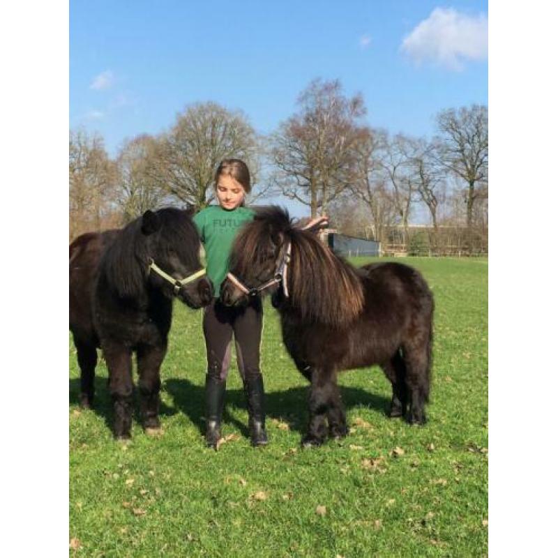 Superlieve kindershetlander