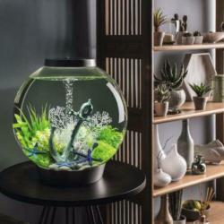 biOrb CLASSIC | 60 LED | Wit