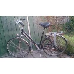 Koga Miyata Cadence