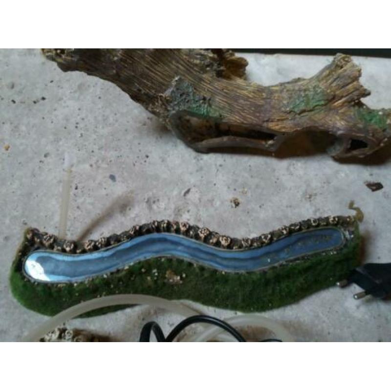Aquarium en toebehoren.