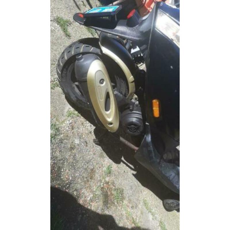 Piaggio zip snor