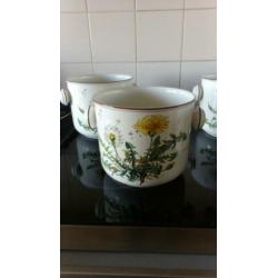 Villeroy en boch Bloempotten per stuk 15 euro
