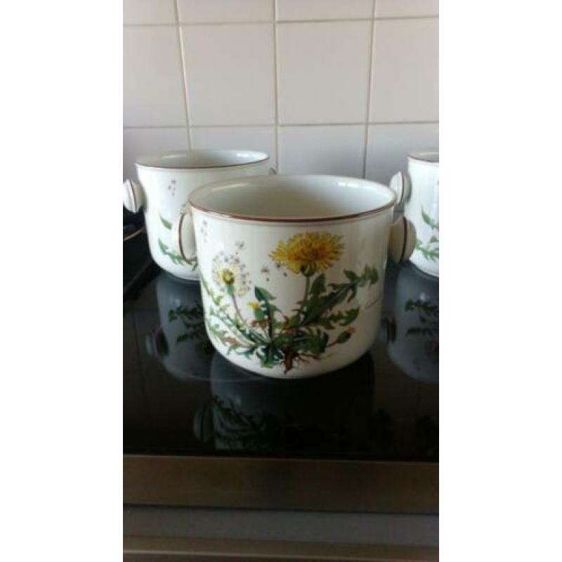 Villeroy en boch Bloempotten per stuk 15 euro