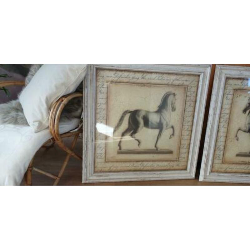 Schilderij met paard maison riviera ,2 stuks 83 bij 83