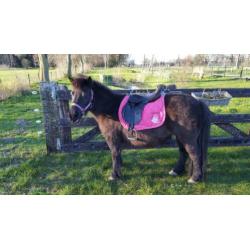 Compleet shetlander leren zadel 15 inch met hoofdstel