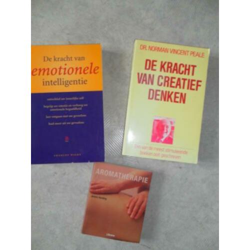 De Kracht van Emotionele Intelligentie - Wilks
