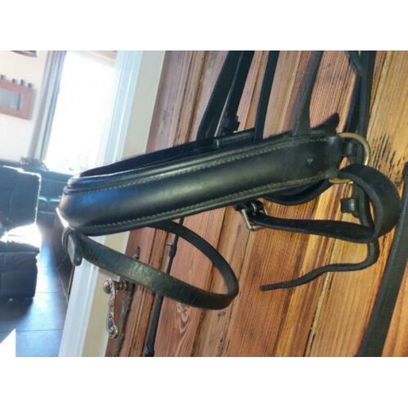 15 euro Hoofdstel met teugel full
