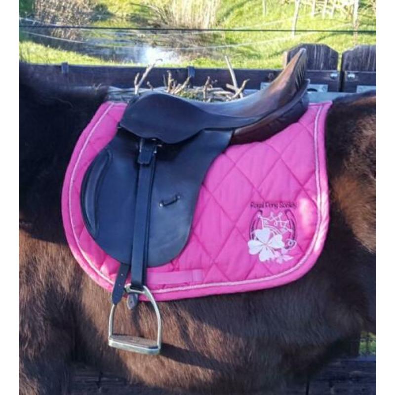 Compleet shetlander leren zadel 15 inch met hoofdstel