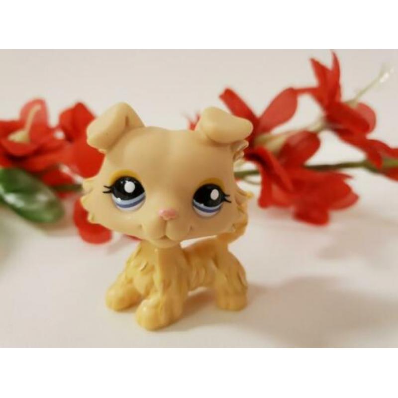 littlest pet shop 1194 collie