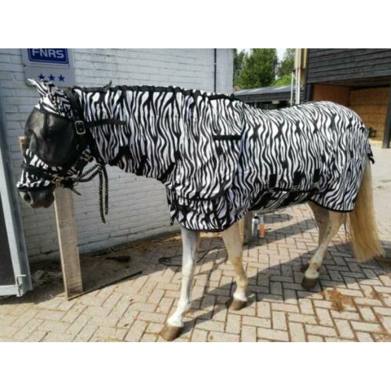 Vliegendeken 185cm zebra