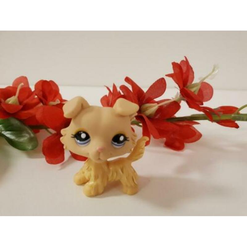 littlest pet shop 1194 collie