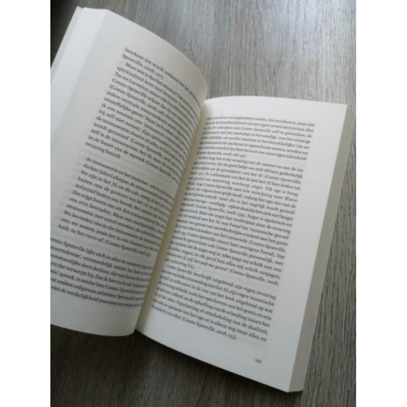 GOD, IETS of NIETS? - Taede A. Smedes