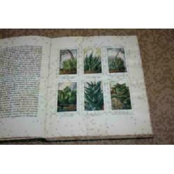 Verkade plaatjesalbum - Vetplanten - 1932 !!