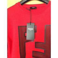 Fendi trui