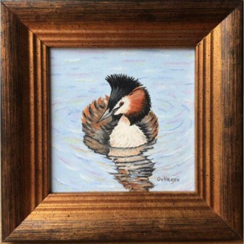 Schilderij Roodborst - Vogels