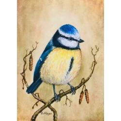Schilderij Roodborst - Vogels