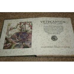 Verkade plaatjesalbum - Vetplanten - 1932 !!