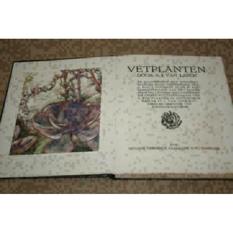 Verkade plaatjesalbum - Vetplanten - 1932 !!