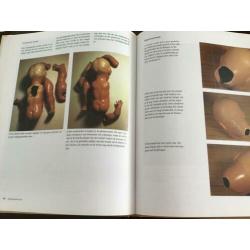 Poppen restauratie boek