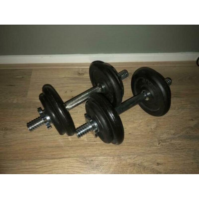 Dumbells set diverse gewichten