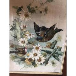 Antiek Vogel schilderij 55x 70 cm