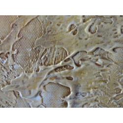 " Together " Acryl 2 luik van B.Williamson