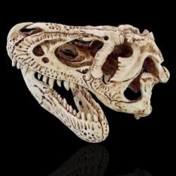 Een levensechte T-Rex schedel uit hars ( Code : H )