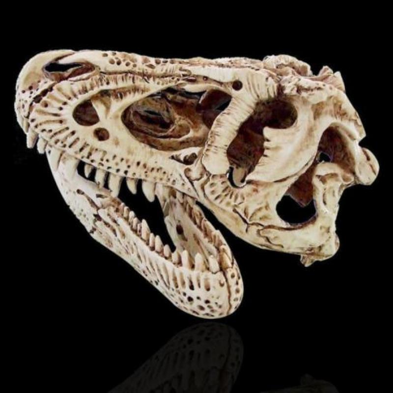 Een levensechte T-Rex schedel uit hars ( Code : H )
