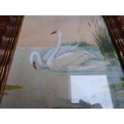 Lief aquarel met zwanen
