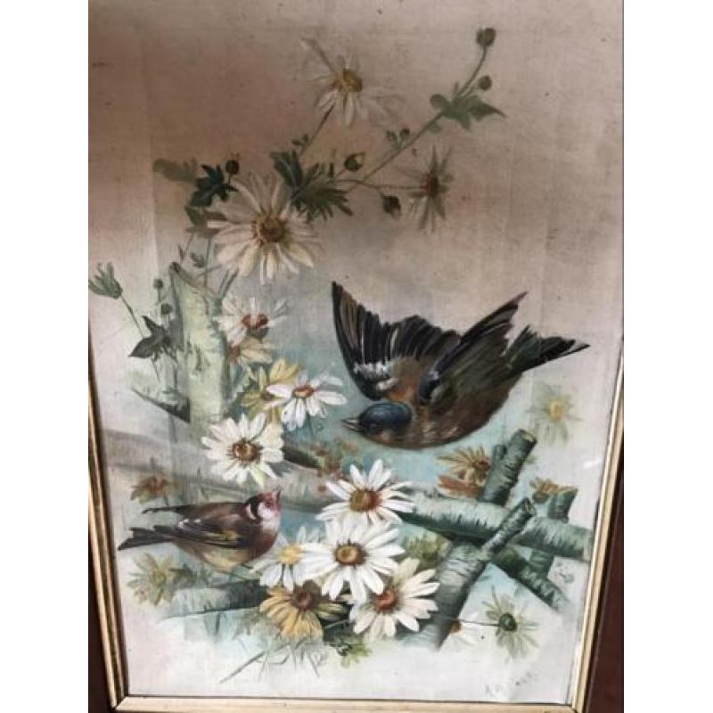 Antiek Vogel schilderij 55x 70 cm