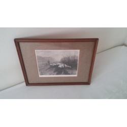 Ingelijste foto uit 1895 van herder met schaapskudde