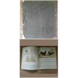Oude boeken