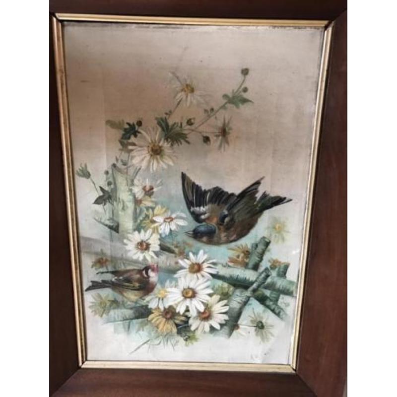 Antiek Vogel schilderij 55x 70 cm