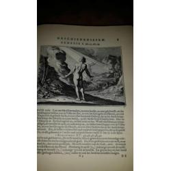 Luikens schriftuurlijke geschiedenissen en gelykenissen 1712