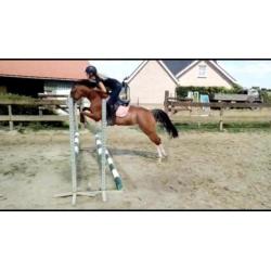 Super kinderpony met de X factor!