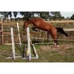 super merrie, applaus x guidam de revel