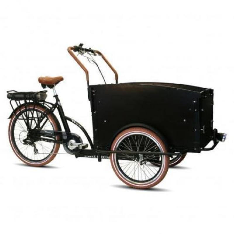 elektrische bakfiets & bakfietsen TROY VOGUE supreme carry