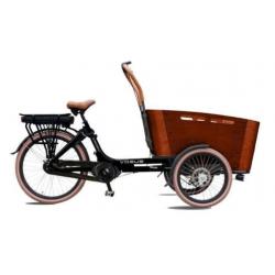 elektrische bakfiets & bakfietsen TROY VOGUE supreme carry