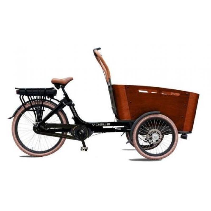 elektrische bakfiets & bakfietsen TROY VOGUE supreme carry