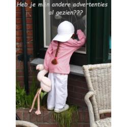 In Nieuwstaat Verkerende Vouwfiets 20 inch met Accessoires