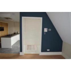 Houten jaloezieen 25mm brede lammelen 80x160cm NU €20