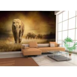 Fotobehang Golden Gate bridge 420 x 270 cm