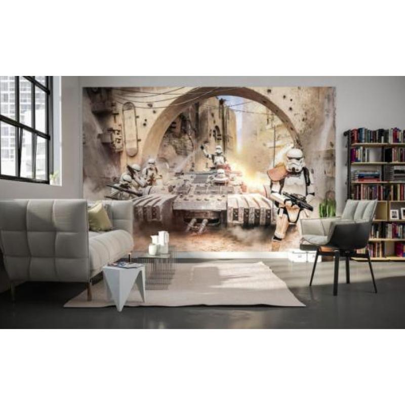 Afmeting: 400 cm breed x 250 cm hoog Materiaal: vliesbehang