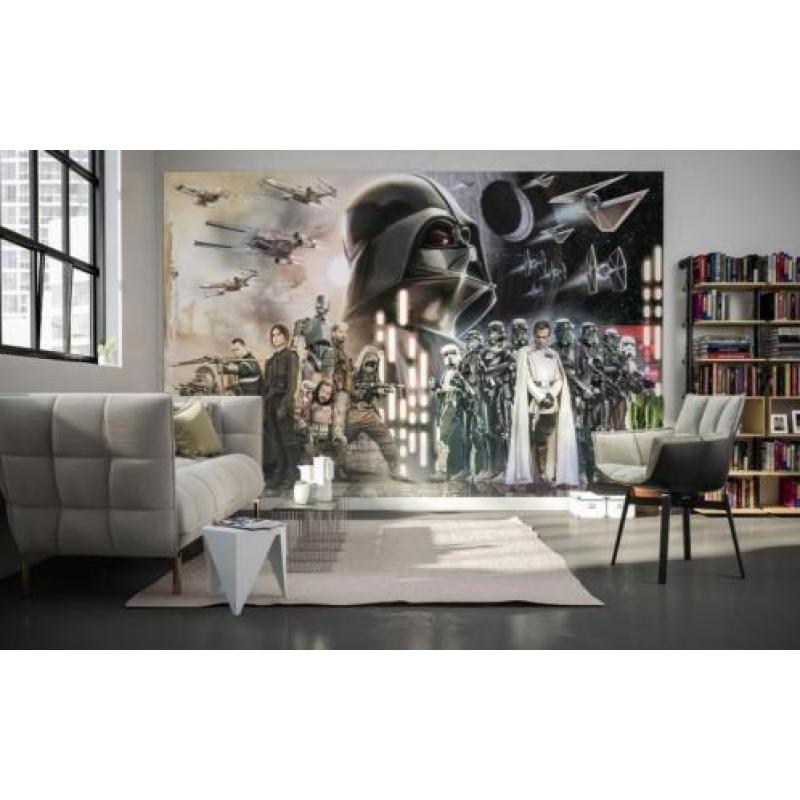 Afmeting: 400 cm breed x 250 cm hoog Materiaal: vliesbehang